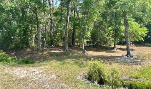 Lot 4 Image