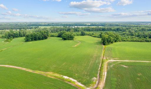 10-web-or-mls-DJI_0885