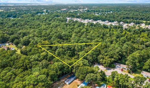 1-web-or-mls-DJI_0163 copy