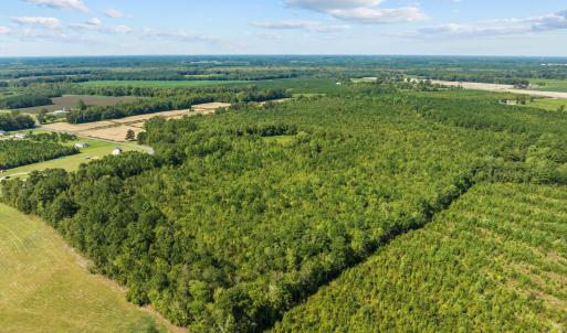 8-web-or-mls-DJI_0176