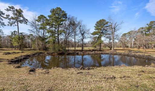 Pond
