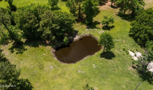 Beautiful pond