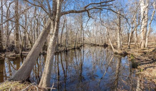Newport River