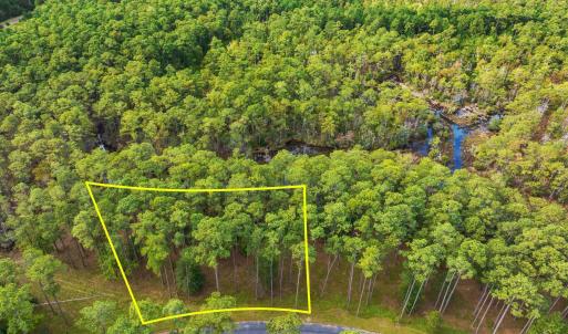 6-web-or-mls-DJI_0001_1