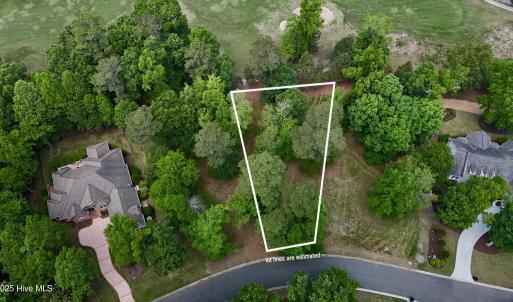125 legacy oaks