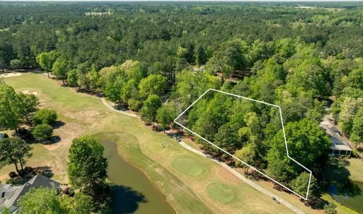 188longleaf7
