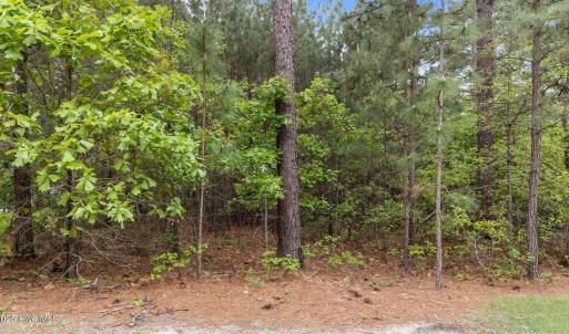 1-web-or-mls-DJI_20250424123444_0151_D