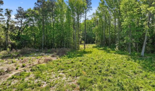 8-web-or-mls-DJI_0839
