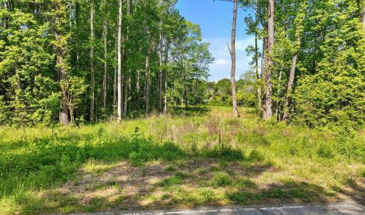 12-web-or-mls-DJI_0843