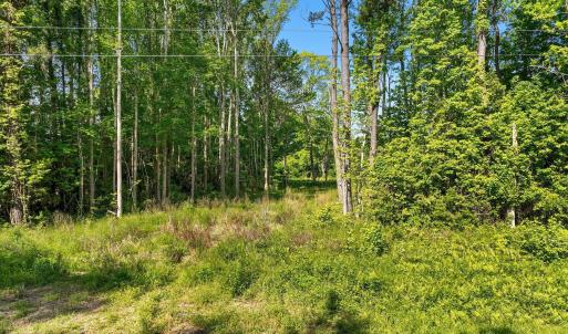 13-web-or-mls-DJI_0844