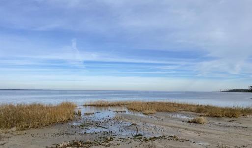 IMG_3550 Large