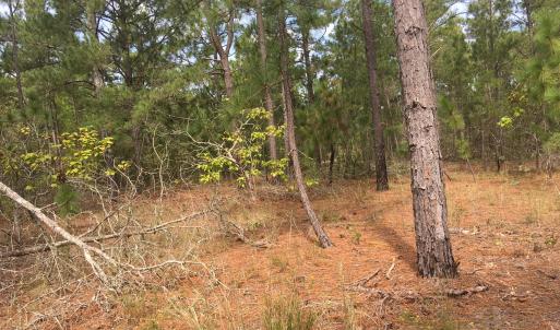 TBD Plank Road, Robbins