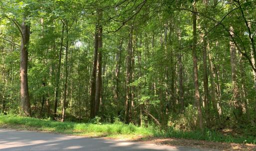 Property_Wooded2