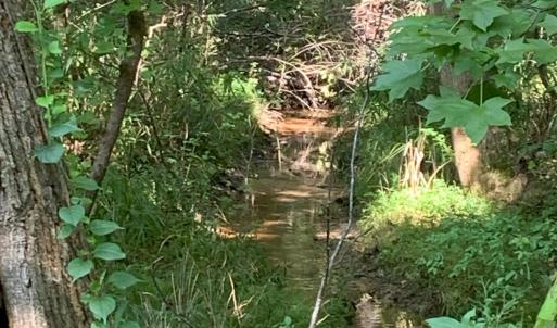 LongStreet_Stream