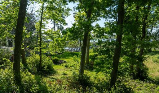 9289 Peakwod Dr MLS-41