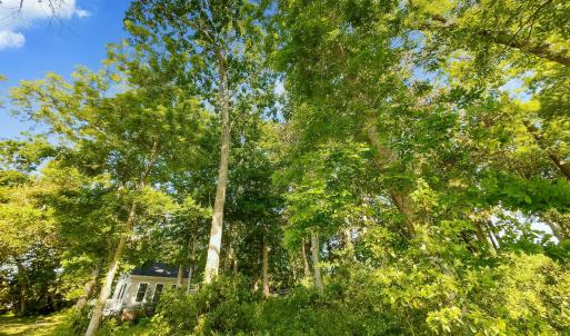 9289 Peakwod Dr MLS-42