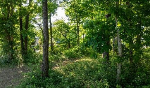 9289 Peakwod Dr MLS-44