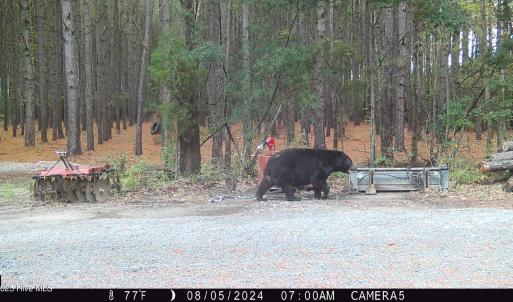 08 05 24 Bears