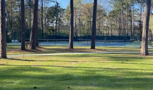 Tennis Pic 2