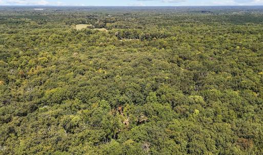 13 acres in Efland 3