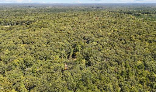 13 acres in Efland 4