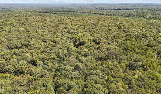 13 acres in Efland 5
