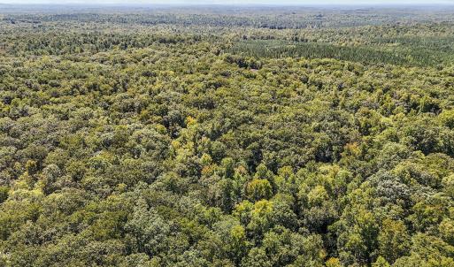 13 acres in Efland 6