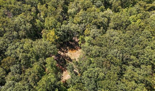 13 acres in Efland pond
