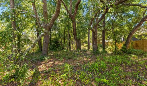 023_110_dow_road-23_403