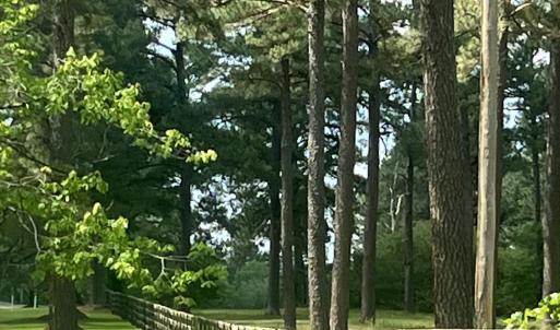 fenceline