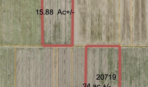 PIN20719,20982 & 20994