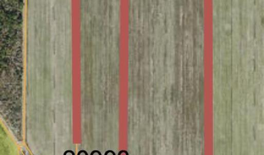 PIN 20993 10 ac. and 20969 20ac