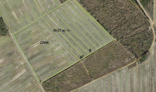 Photo #42 of Sr 1918, Aurora, NC 418.0 acres