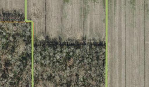 Photo #37 of Sr 1918, Aurora, NC 418.0 acres