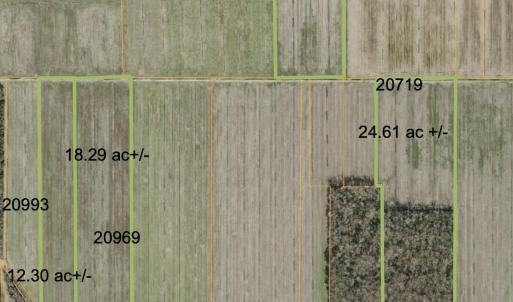 Photo #39 of Sr 1918, Aurora, NC 418.0 acres