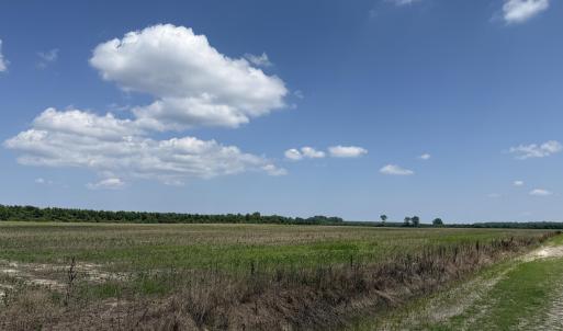 Photo #51 of Sr 1918, Aurora, NC 418.0 acres
