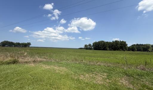 Photo #52 of Sr 1918, Aurora, NC 418.0 acres