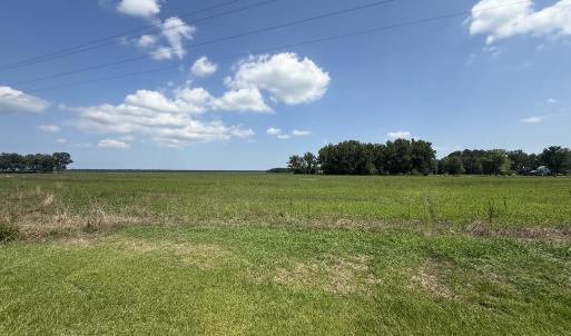 Photo #48 of Sr 1918, Aurora, NC 418.0 acres