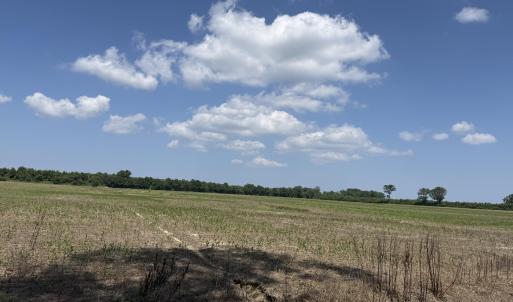 Photo #50 of Sr 1918, Aurora, NC 418.0 acres