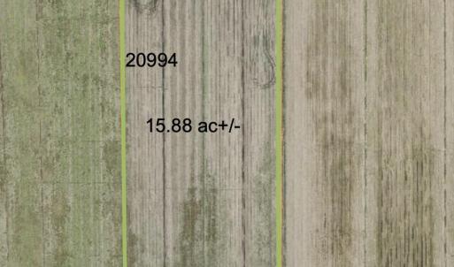 Photo #36 of Sr 1918, Aurora, NC 418.0 acres