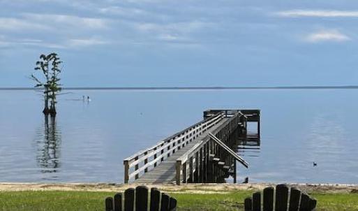 IMG_8907