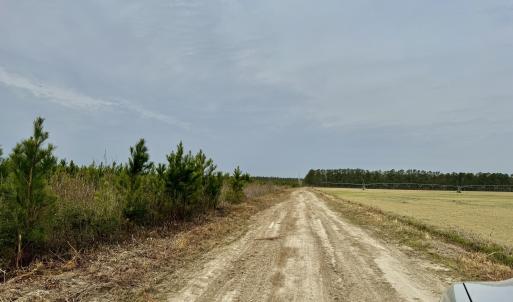 IMG_0279