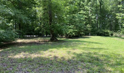 Nice and open surrounded by trees