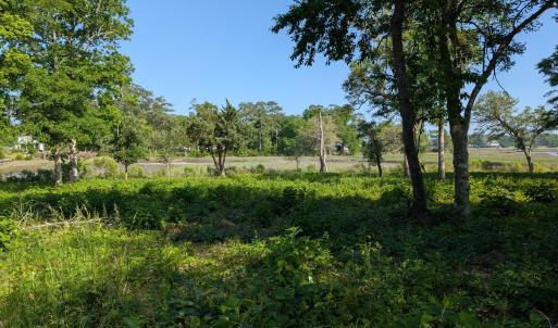 PXL_20250515_205032071