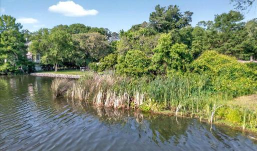 Along the Water's Edge