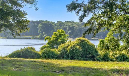 This could be your Backyard