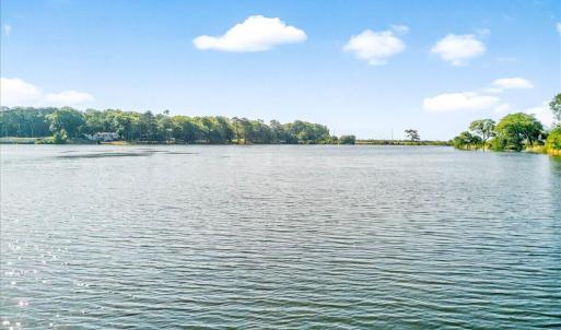 The Good Life on the Lake