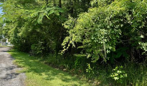 3 adjoining lots!