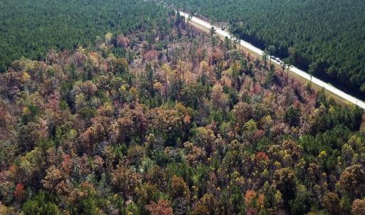 calf creek, tracts i, 2, 1490 pxlw