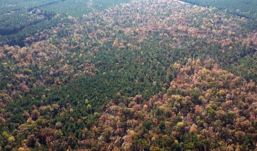 Calf Creek Preserve, Tracts I J K